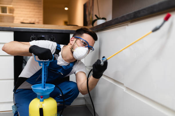 Pest Prevention Services in Eldorado, TX