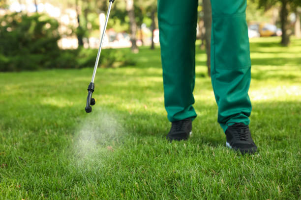 Best Local Pest Control Services  in Eldorado, TX