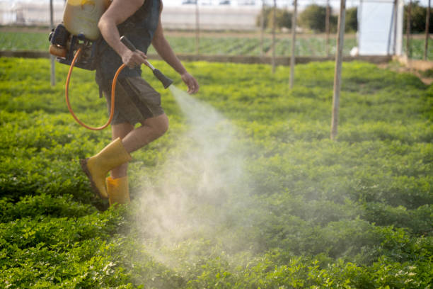 Trusted Eldorado, TX Pest Control Experts