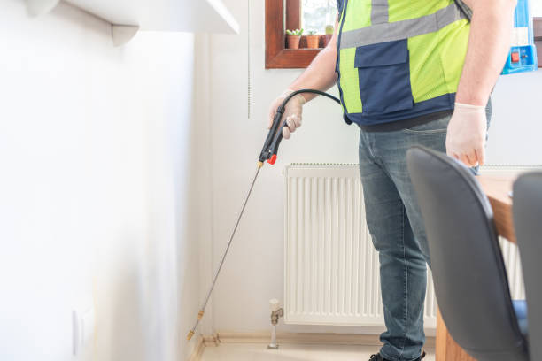 Reliable Eldorado, TX Pest Control Solutions