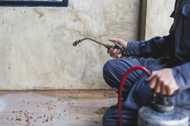 Best Rat Extermination Near Me  in Eldorado, TX
